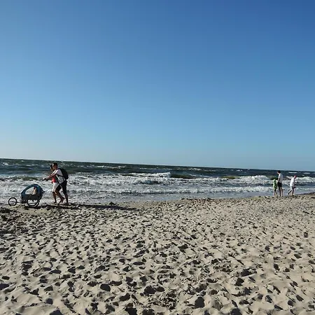 In Near Baltic Sea Promenade